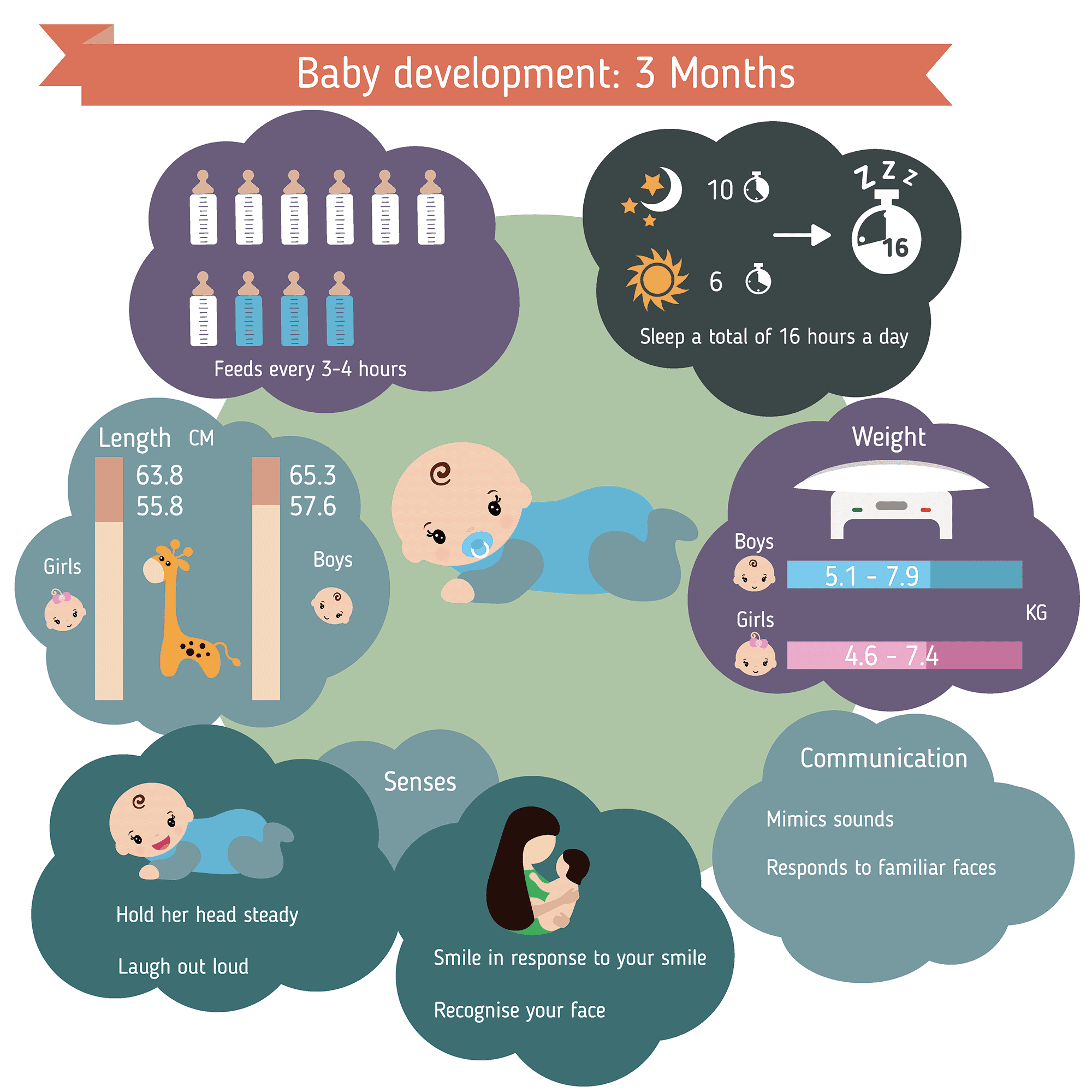 EN - Entwicklungsstand Verhalten Baby 3 Monate - M