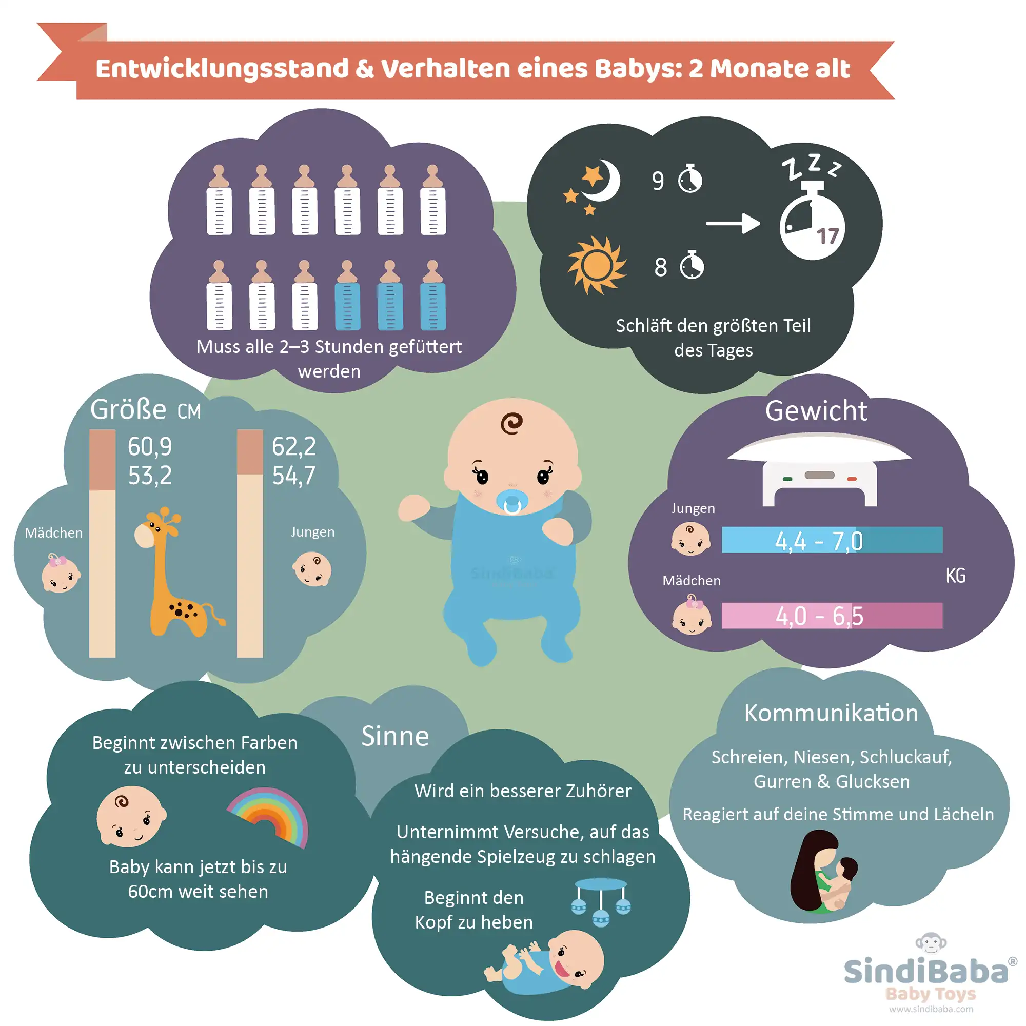 Infografik: Entwicklungsstand & Verhalten eines Babys, 2 Monate alt