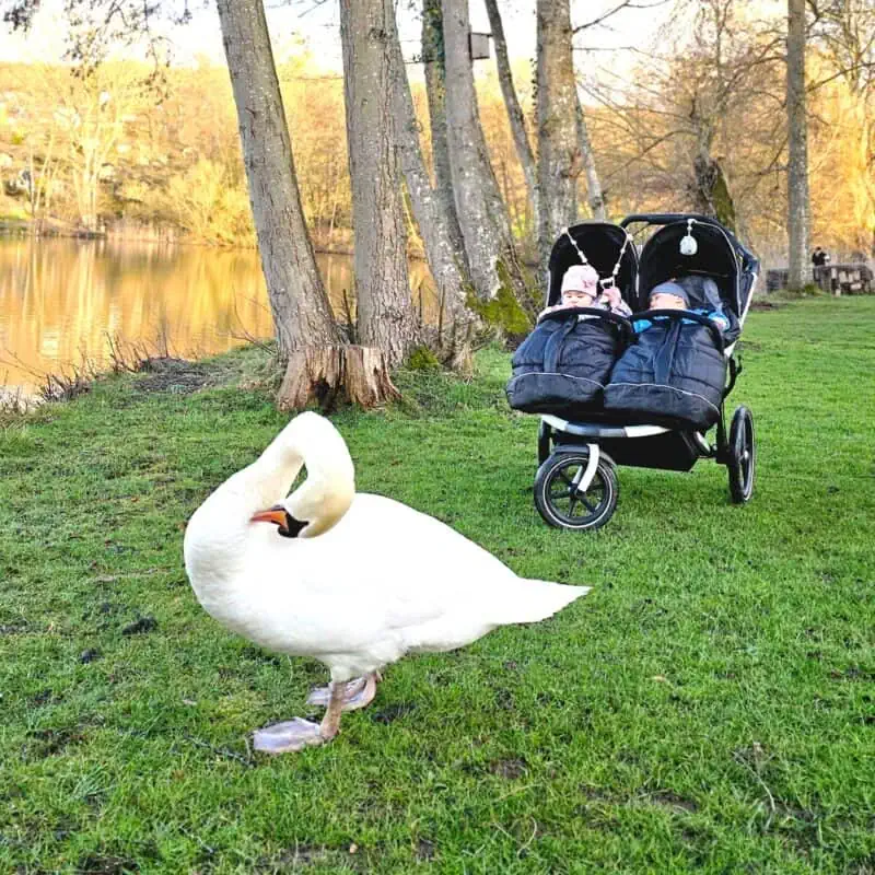 Kinderwagenkette Eule LUNA in Rosa - mit Schwan und Babys in der Natur
