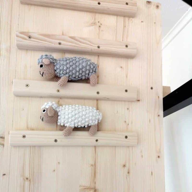 Schaf DOLLY am Campusboard