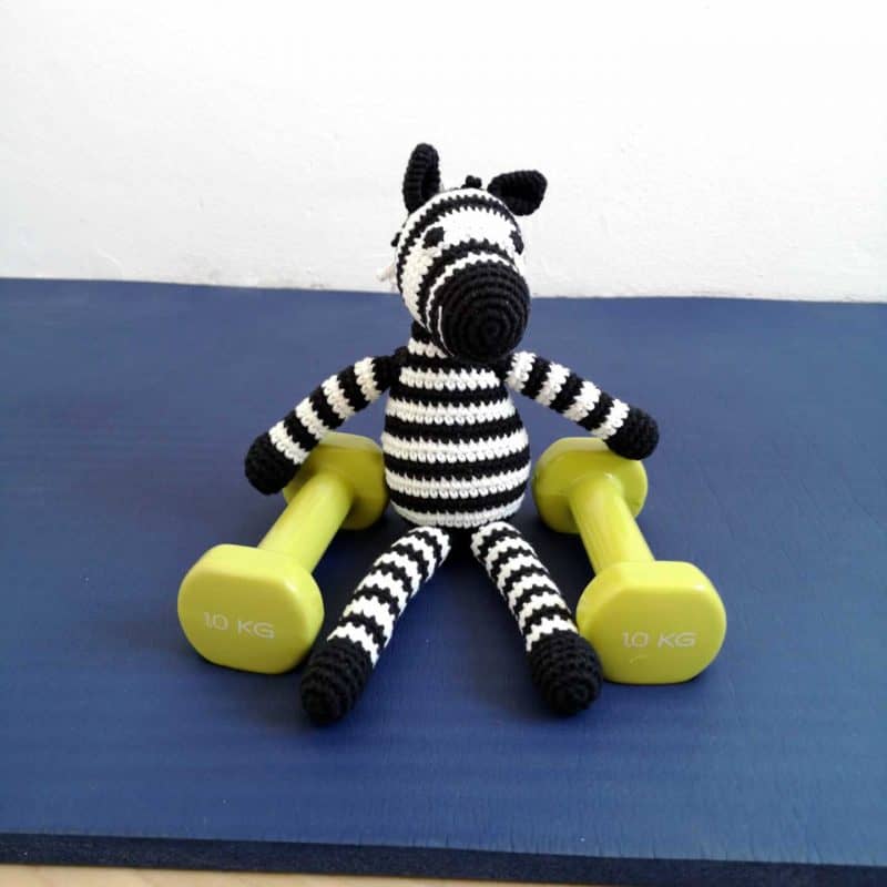 Zebra STRIPEY beim Curlup