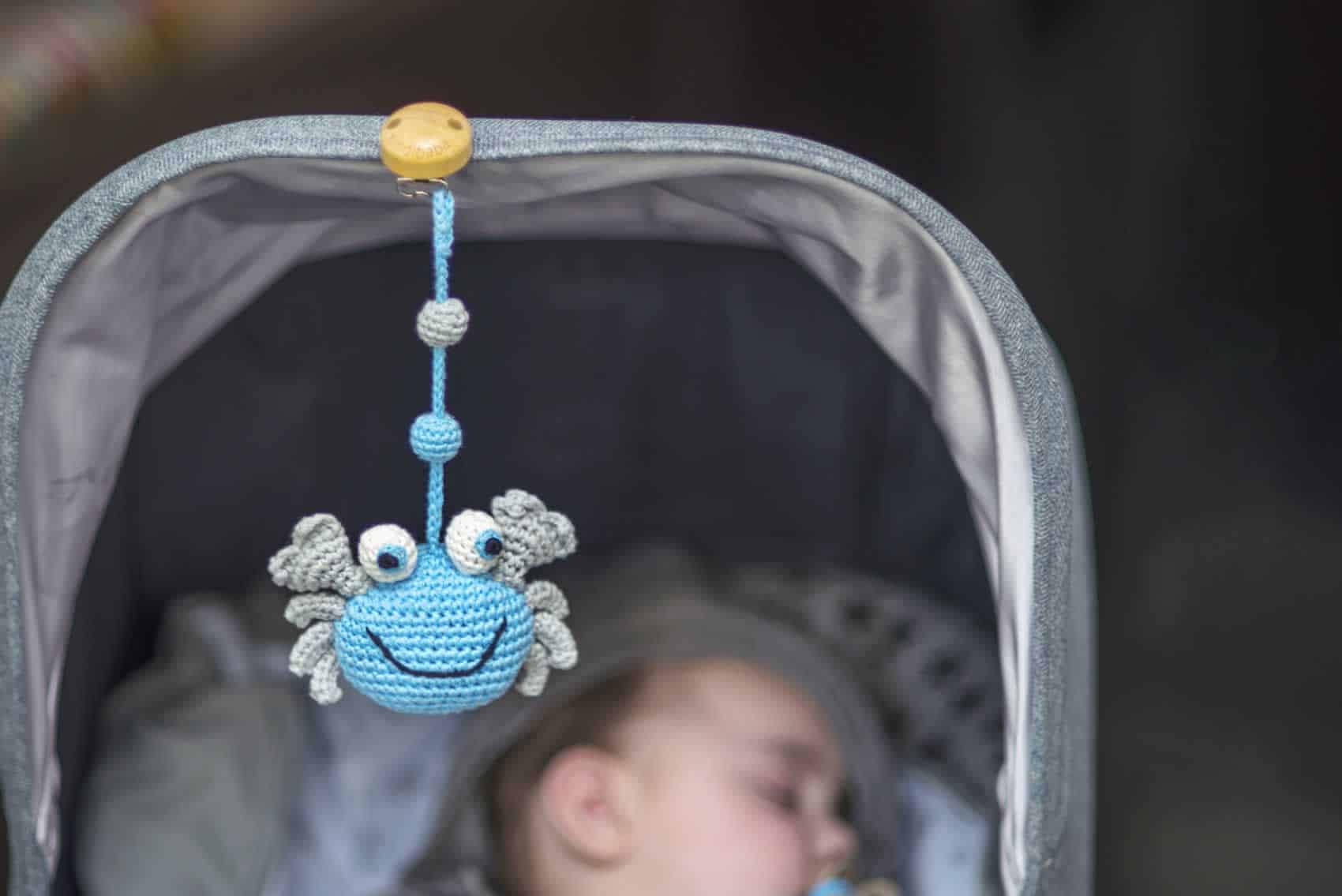 Baby mit Krabbe-Kinderwagenanhänger im Buggy (Kategorie-Bild)
