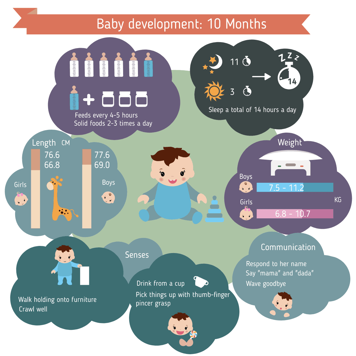 Entwicklung Verhalten Baby 10 Monate alt - EN