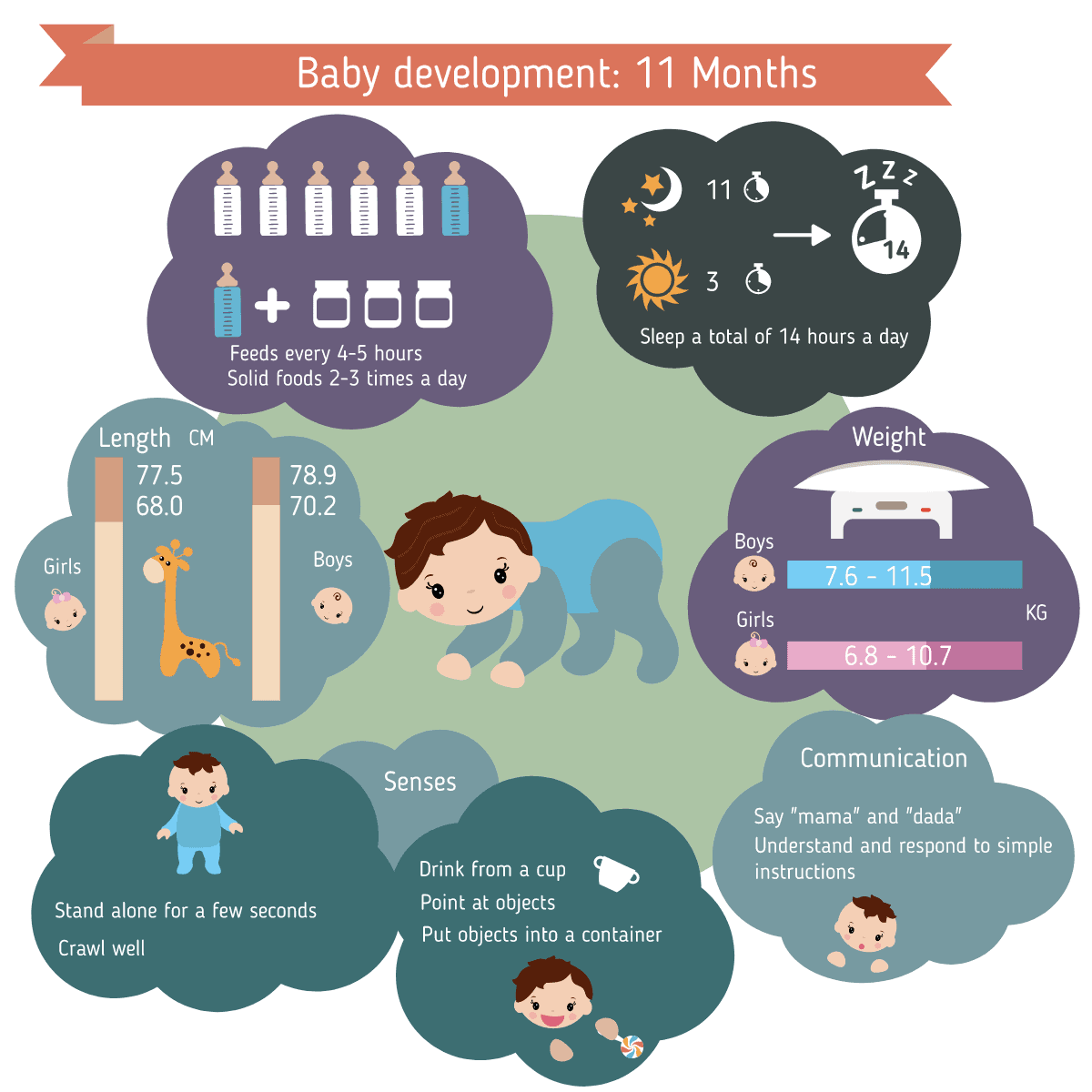 Entwicklung Verhalten Baby 11 Monate alt - EN