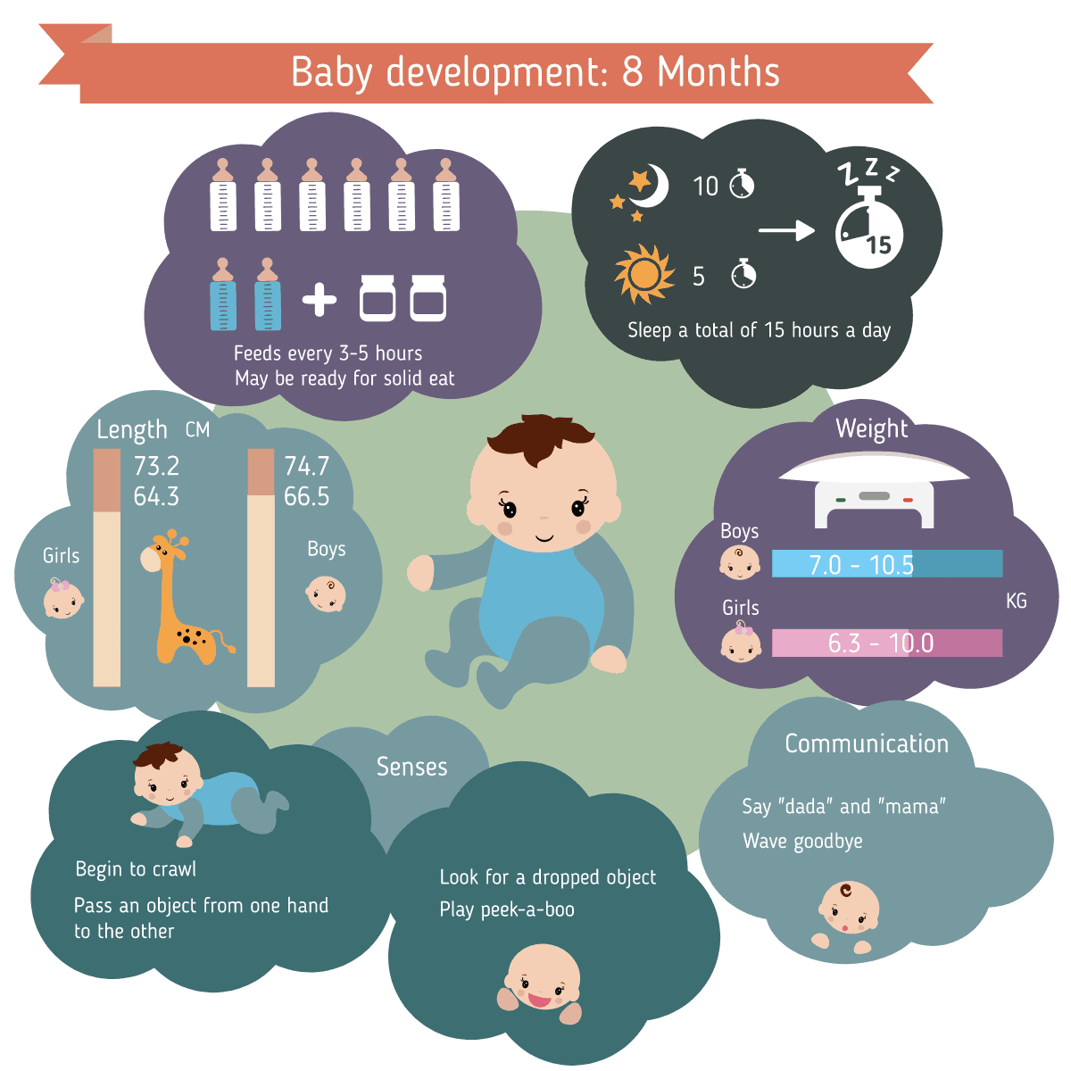 Entwicklung Verhalten Baby 8 Monate alt - EN