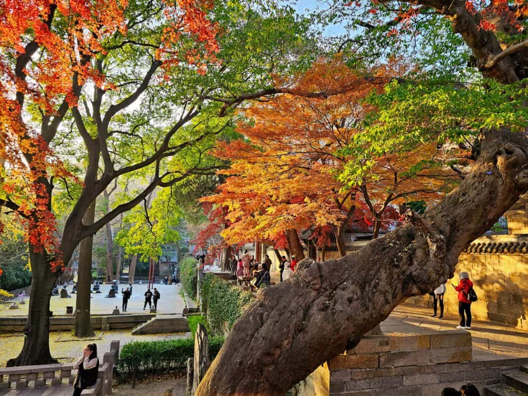 Taoismus-Tempel-Garten im Laoshan